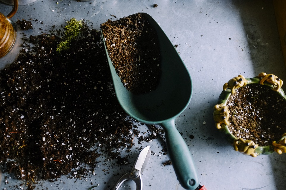 Bien prendre soin de son jardin de temps à autre